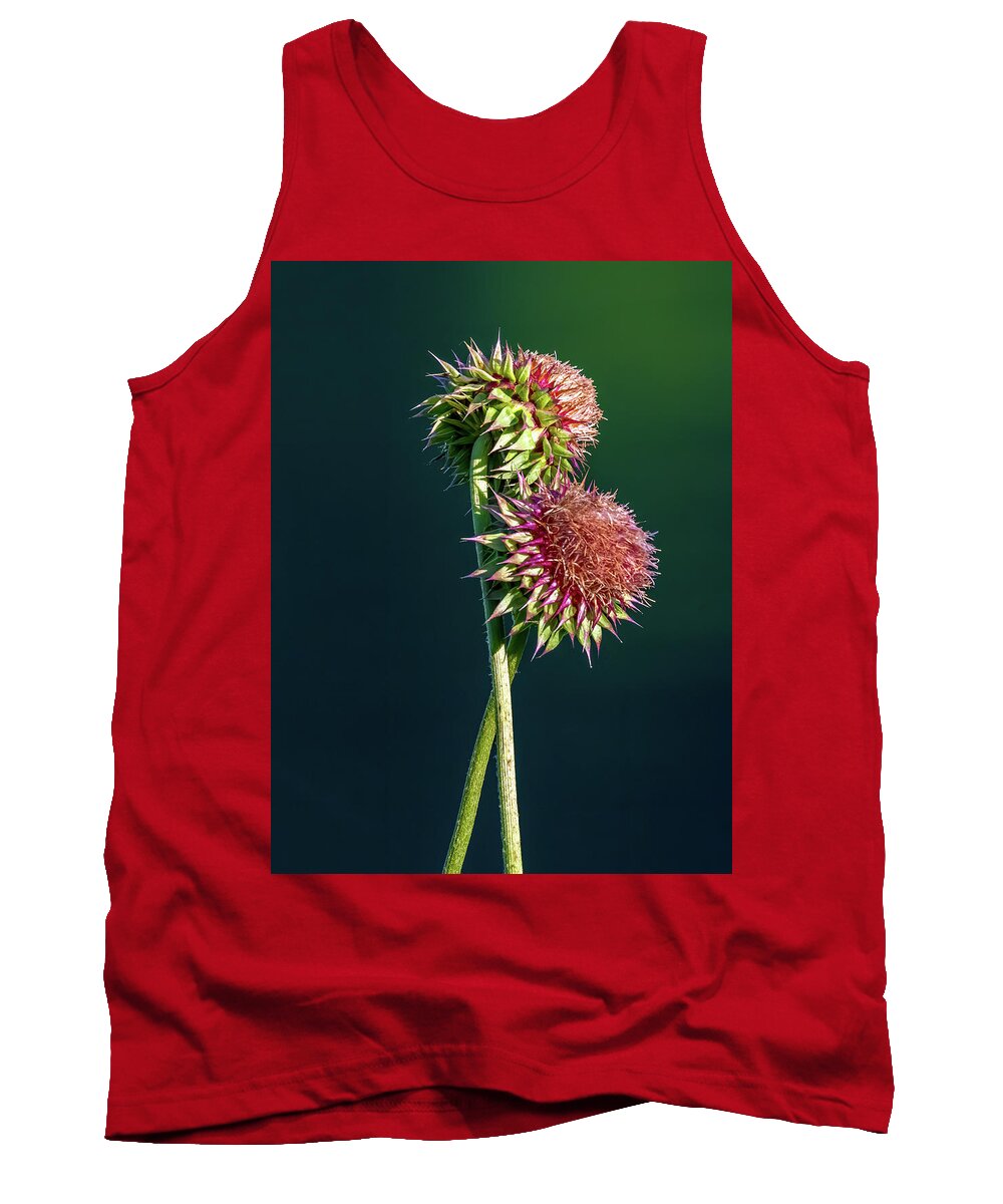 Thistle Stems Tank Top featuring the photograph Entwined by Marcy Wielfaert