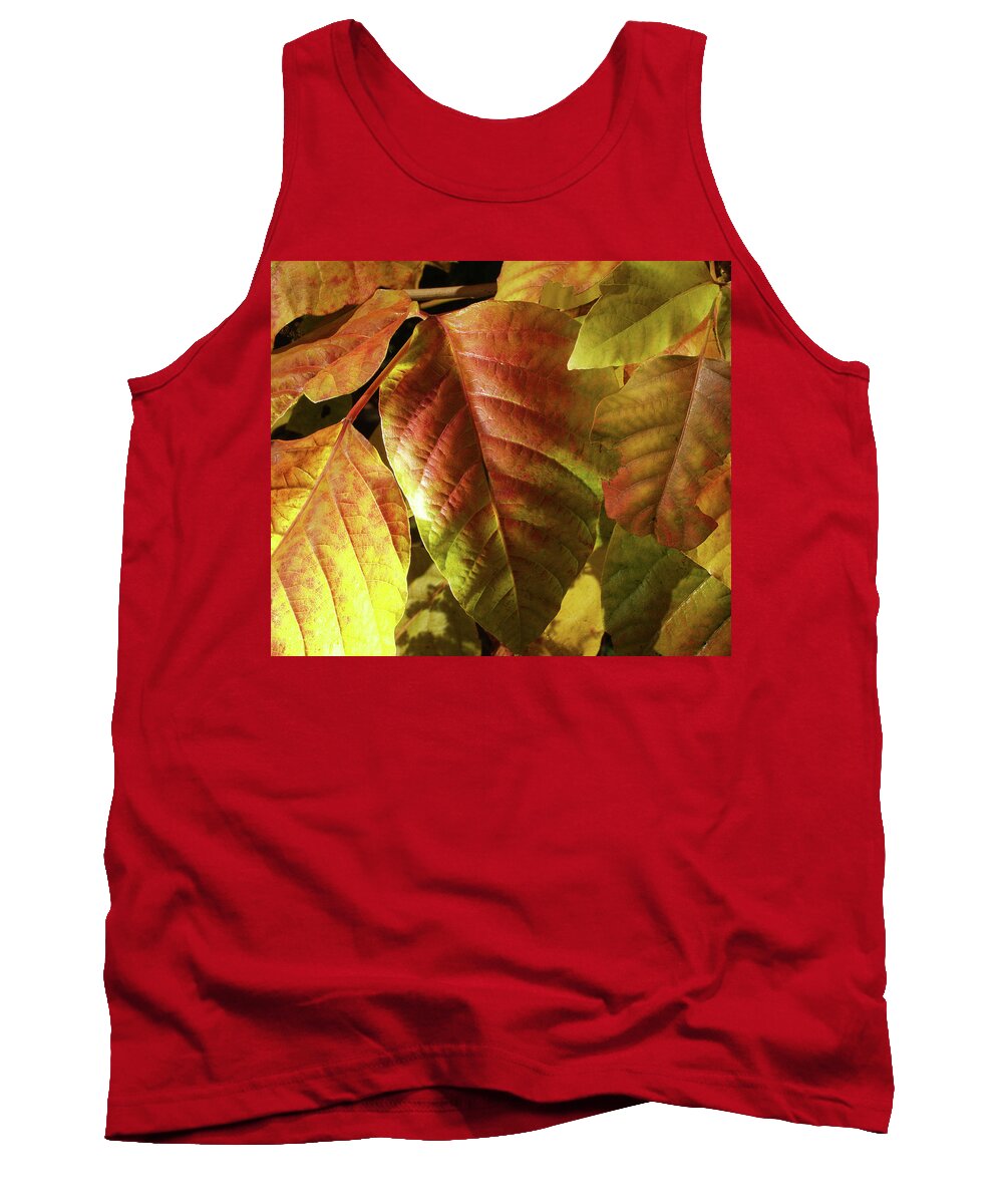 Leaves Tank Top featuring the photograph Glowing Autmn Colors by Steven Nelson