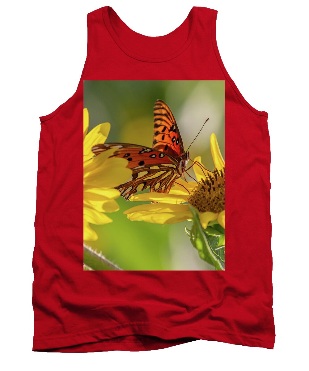 Butterfly Tank Top featuring the photograph Hungry butterfly by Jamie Tyler