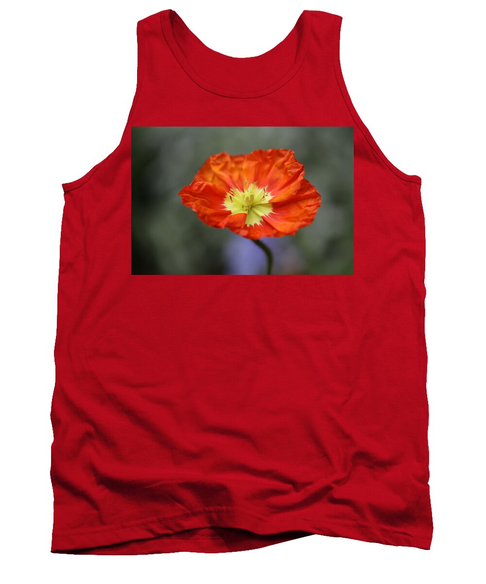 Iceland Poppy Tank Top featuring the photograph Iceland Poppy by Tammy Pool