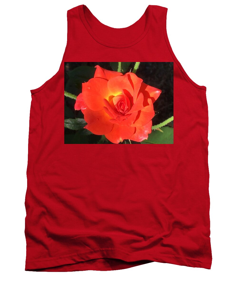 Rose Tank Top featuring the photograph Just Orange Bright Rose by Catherine Wilson
