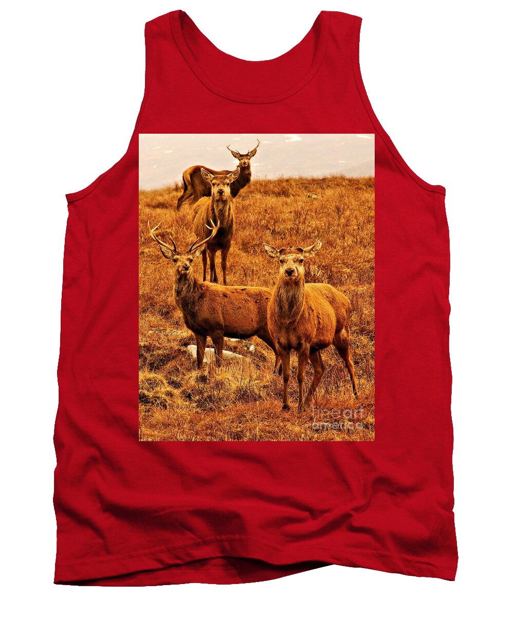 Animals Tank Top featuring the photograph Loch Lochy Dear. by Richard Denyer