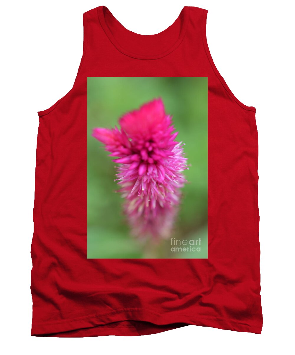 Cockscomb Tank Top featuring the photograph Painterly Cockscomb by Mini Arora