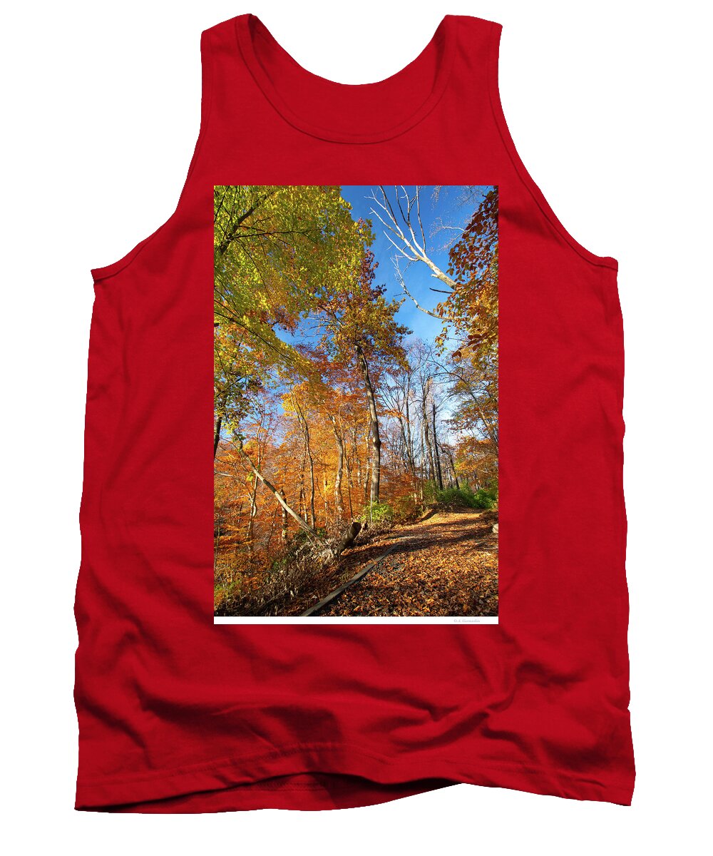 Forest Path Tank Top featuring the photograph Pennsylvania Woodland Trail in Autumn by A Macarthur Gurmankin