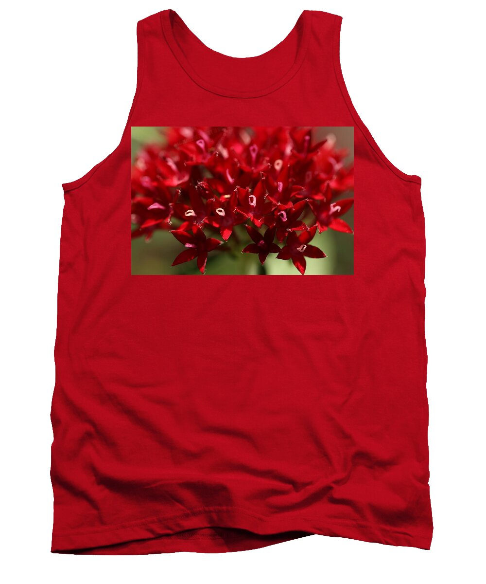 Penta Flower Tank Top featuring the photograph Red Penta Flowers by Mingming Jiang