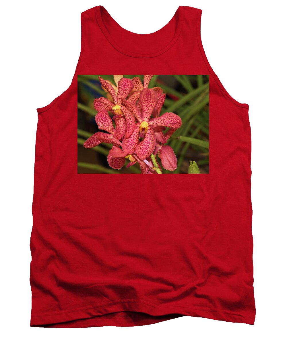 Dakak Resort Tank Top featuring the photograph Pink And Yellow Orchid by David Desautel