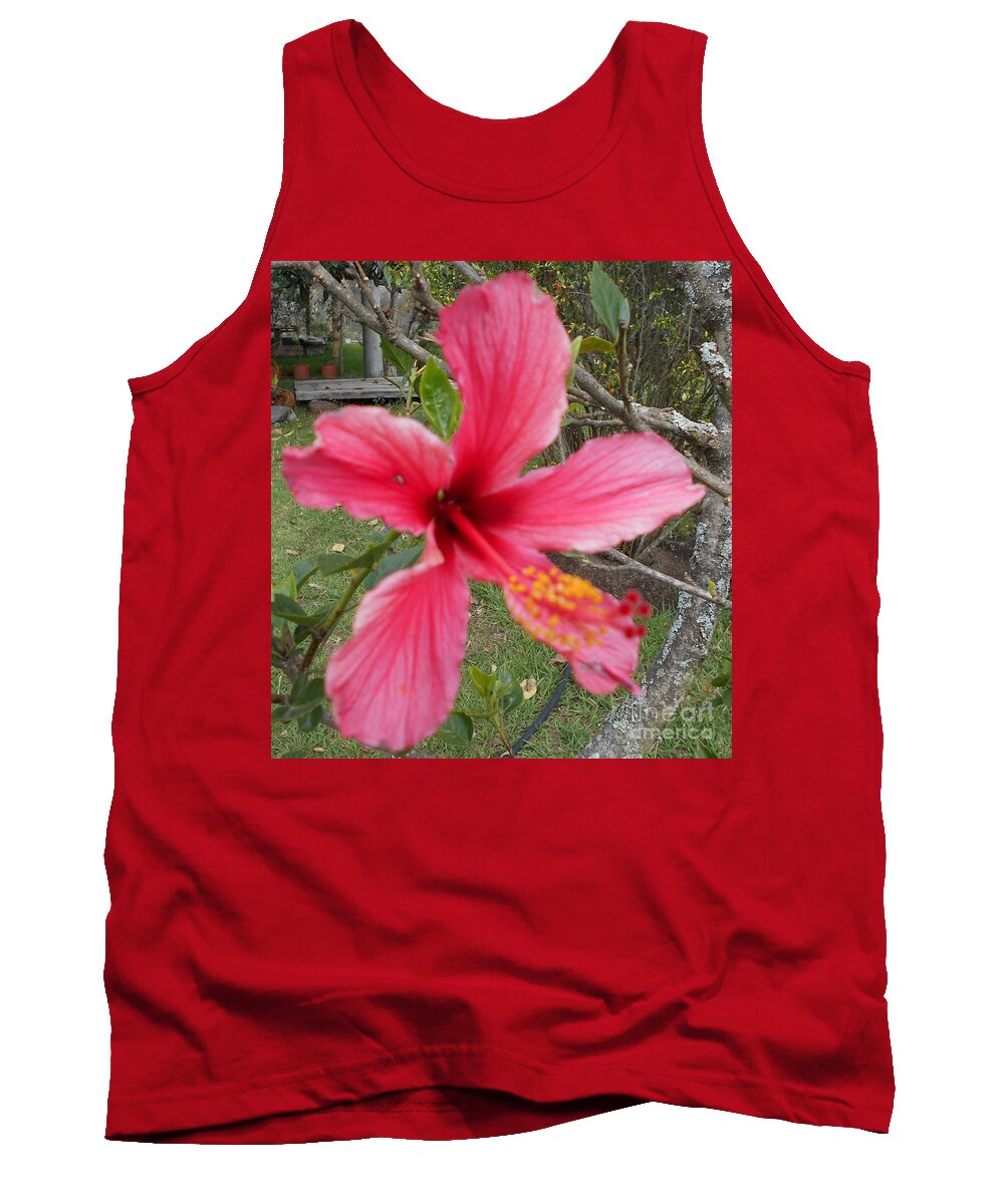 Pink Tank Top featuring the photograph Pink Hibiscus by Nancy Graham
