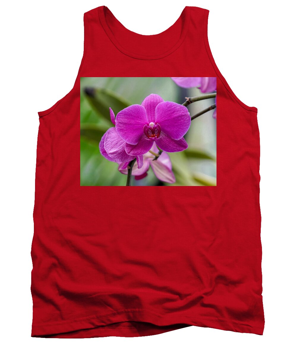 Romance Tank Top featuring the photograph Pink Orchid by Susan Rydberg