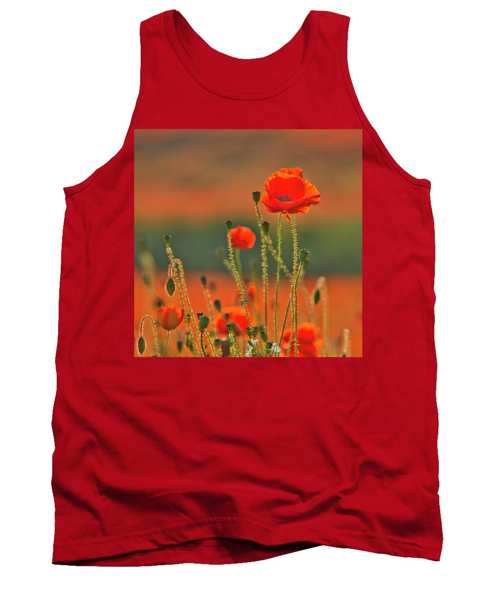 Landscape Tank Top featuring the photograph Poppy field 6 by Remigiusz MARCZAK