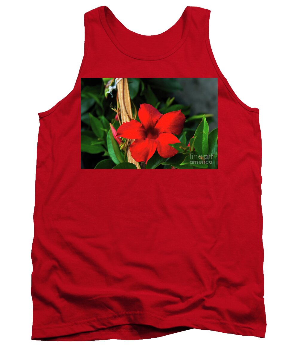 Red Tank Top featuring the photograph Red Cypress Vine by Diana Mary Sharpton