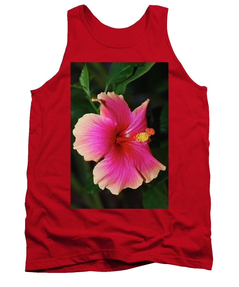 Hibiscus Tank Top featuring the photograph Rise and Shine - Hibiscus Face by Connie Fox