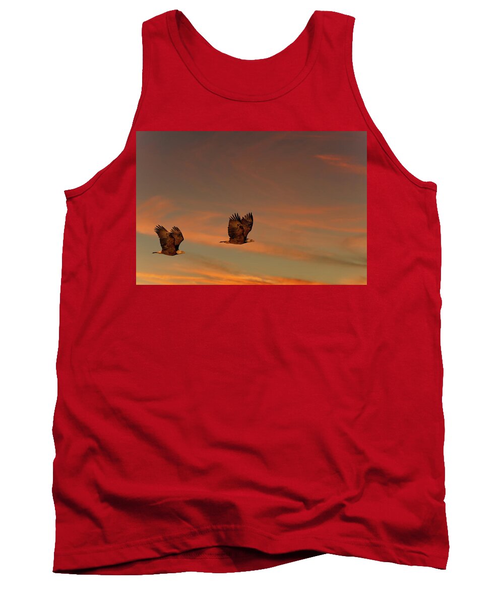 Bald Eagles Tank Top featuring the photograph Rise and Shine by Jonathan Davison