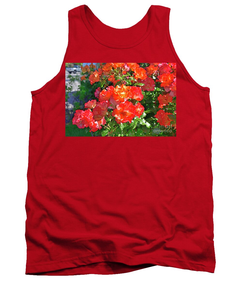 Red Roses Tank Top featuring the photograph Roses and Honey Bee by Amazing Action Photo Video