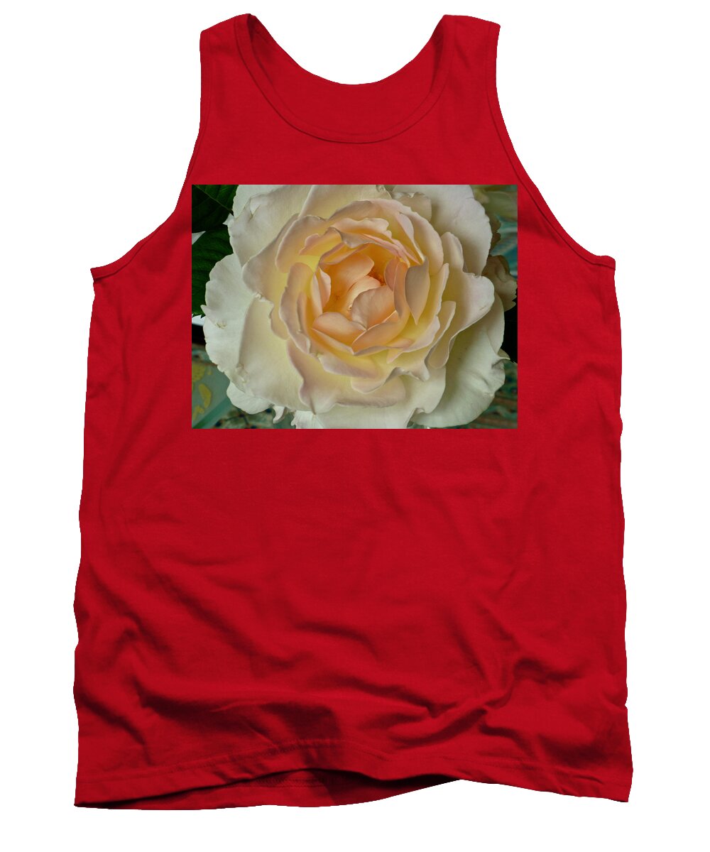Flowers Tank Top featuring the photograph Scented Rose by Amelia Racca