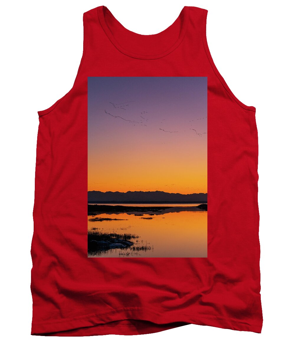 Outdoor; Migration; Goose; Geese; Snow Geese; Fly; Avian; Storm; Waterfowl; Home Coming; Water; Wet Land; Meadow; Skagit Valley Tank Top featuring the digital art Snow geese's home coming in Skagit Valley by Michael Lee