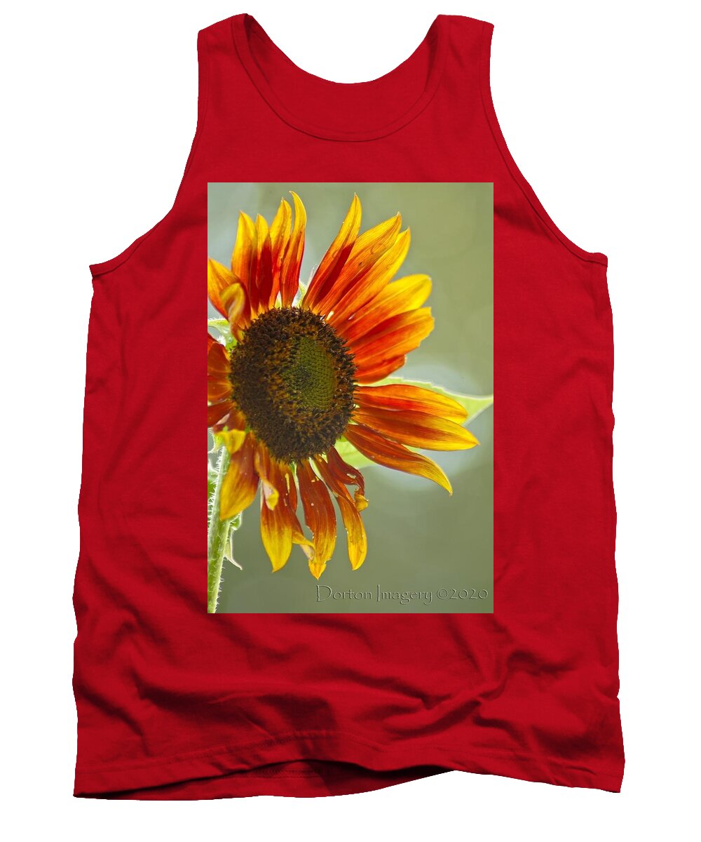  Tank Top featuring the photograph Sunflower by Stephen Dorton