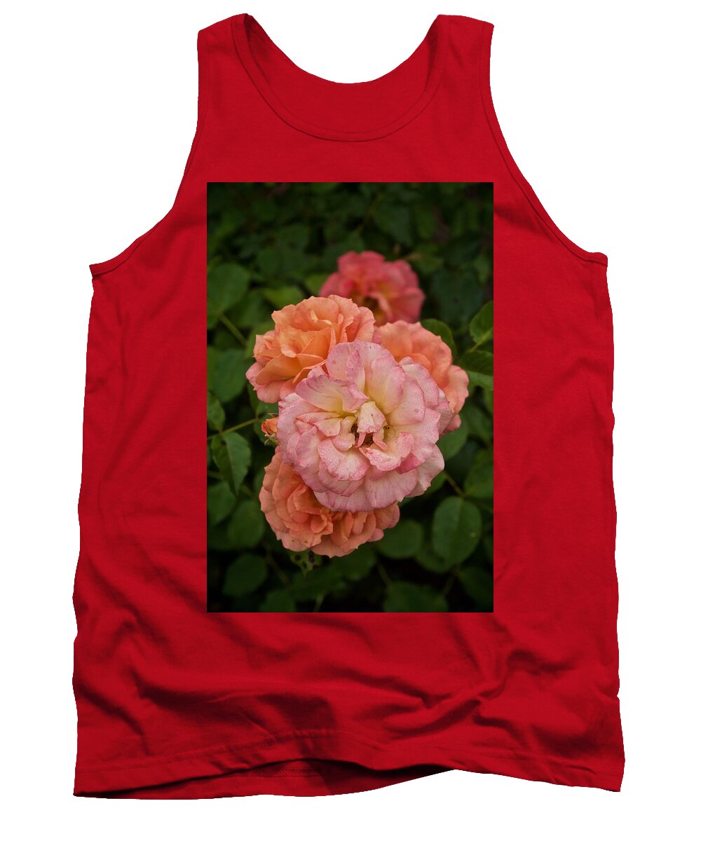 Roses Tank Top featuring the photograph The Five Roses Greeting Card by Richard Cummings