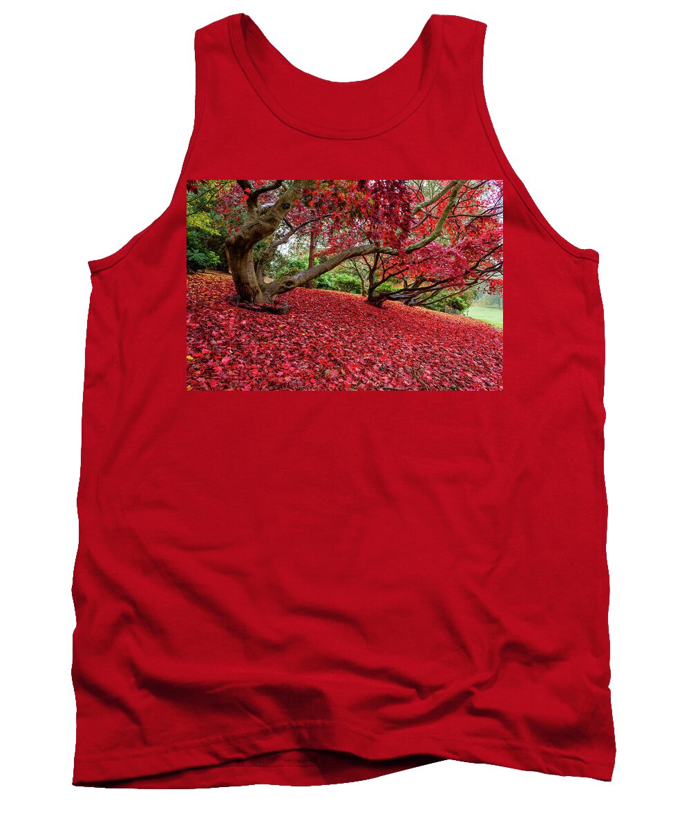 Landscape Tank Top featuring the photograph The Red Carpet by Shirley Mitchell