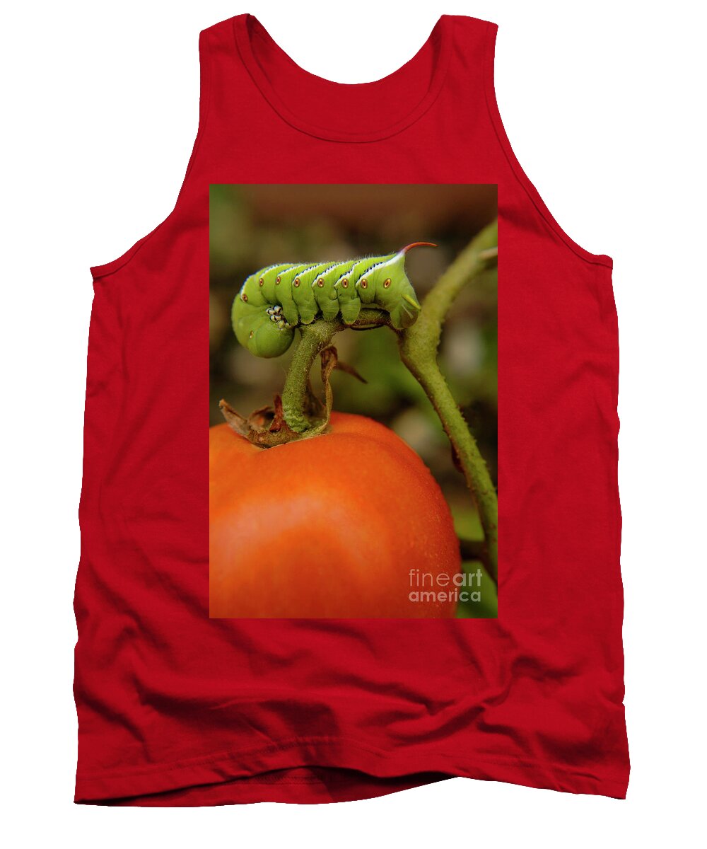 Green Tank Top featuring the photograph Tomato horn worm devours a tomato by Gunther Allen