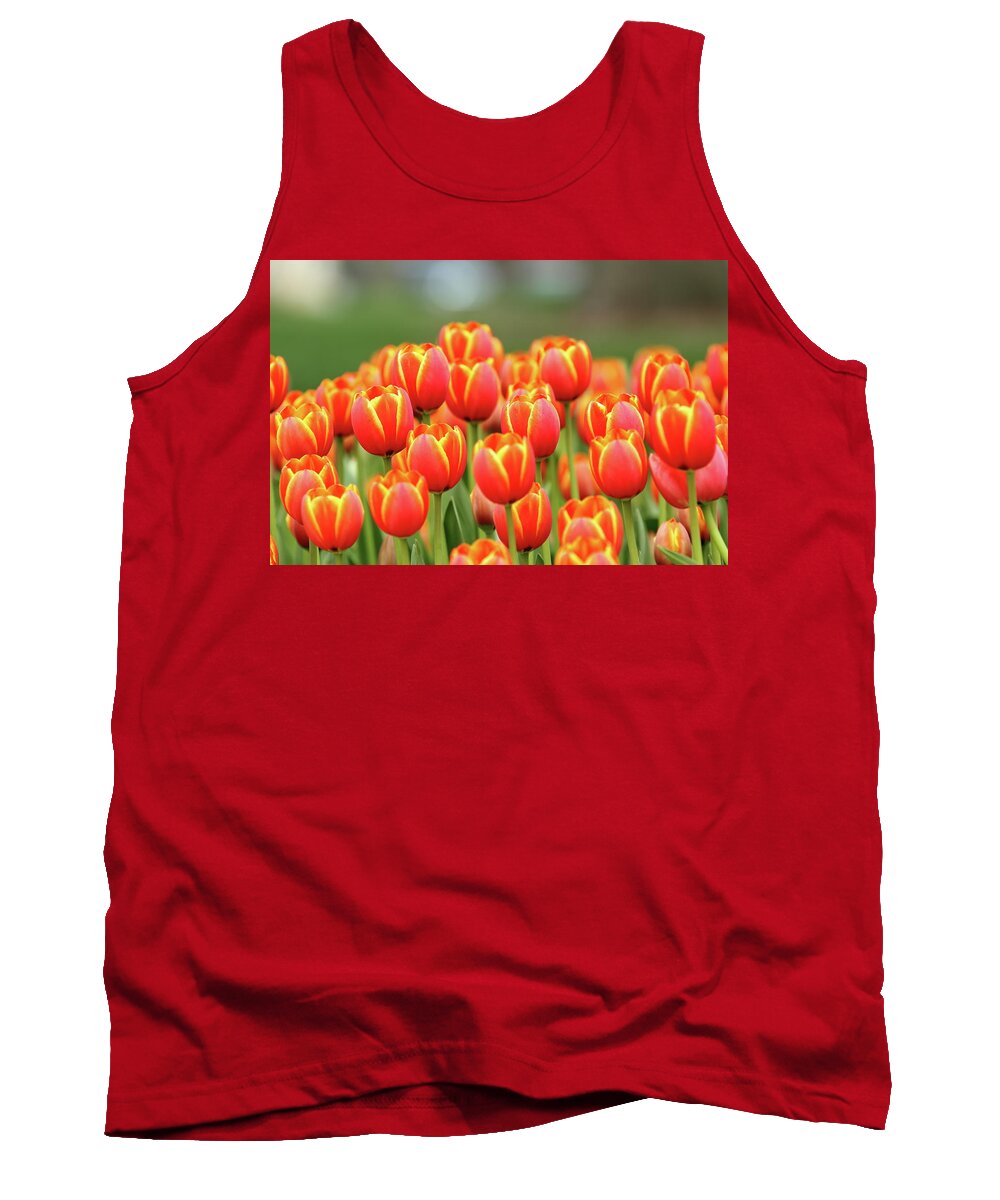 Nature Tank Top featuring the photograph Tulip Tiki Torches by Lens Art Photography By Larry Trager