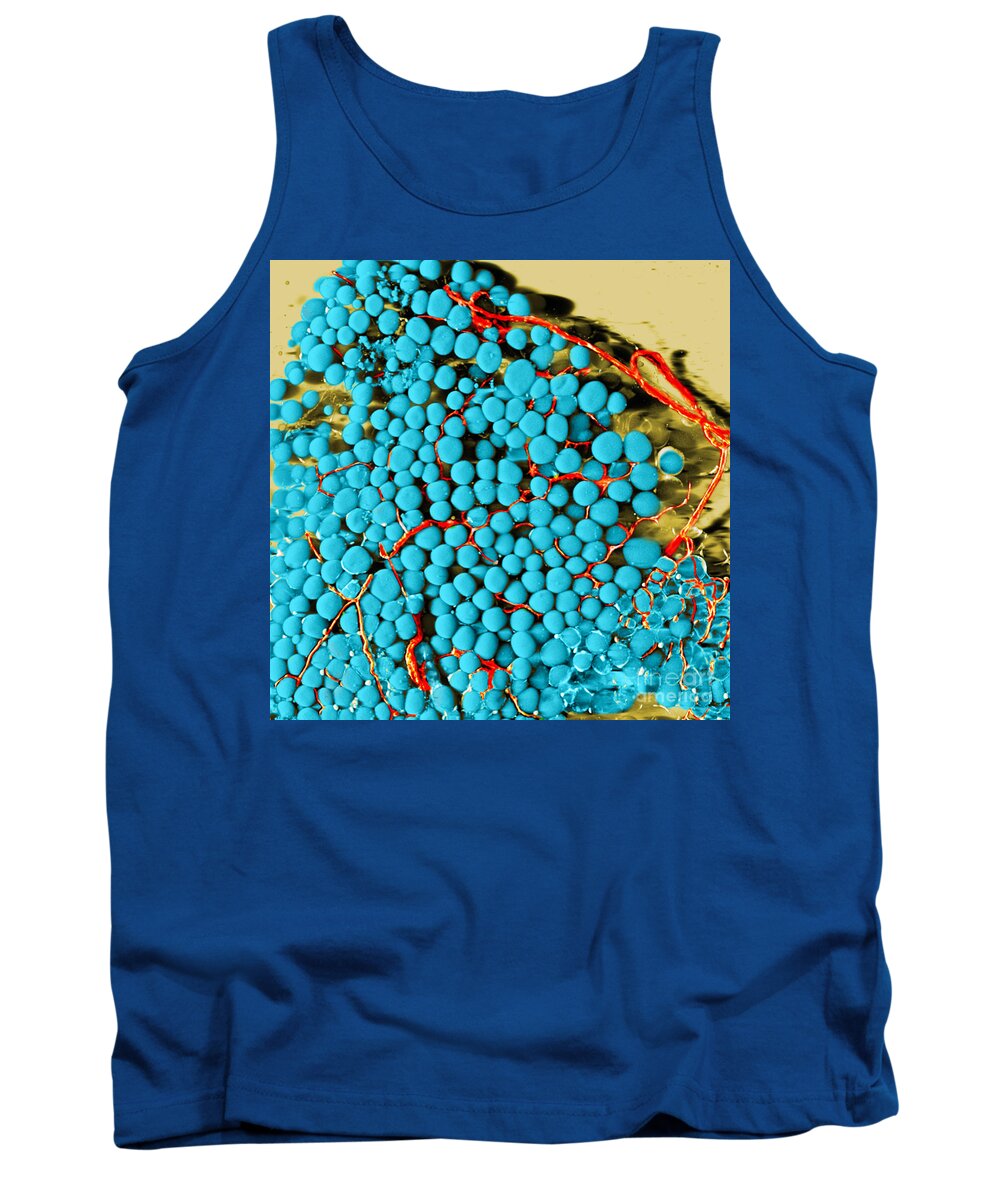 Science Tank Top featuring the photograph Fat Cells And Blood Vessels, Sem #2 by Science Source