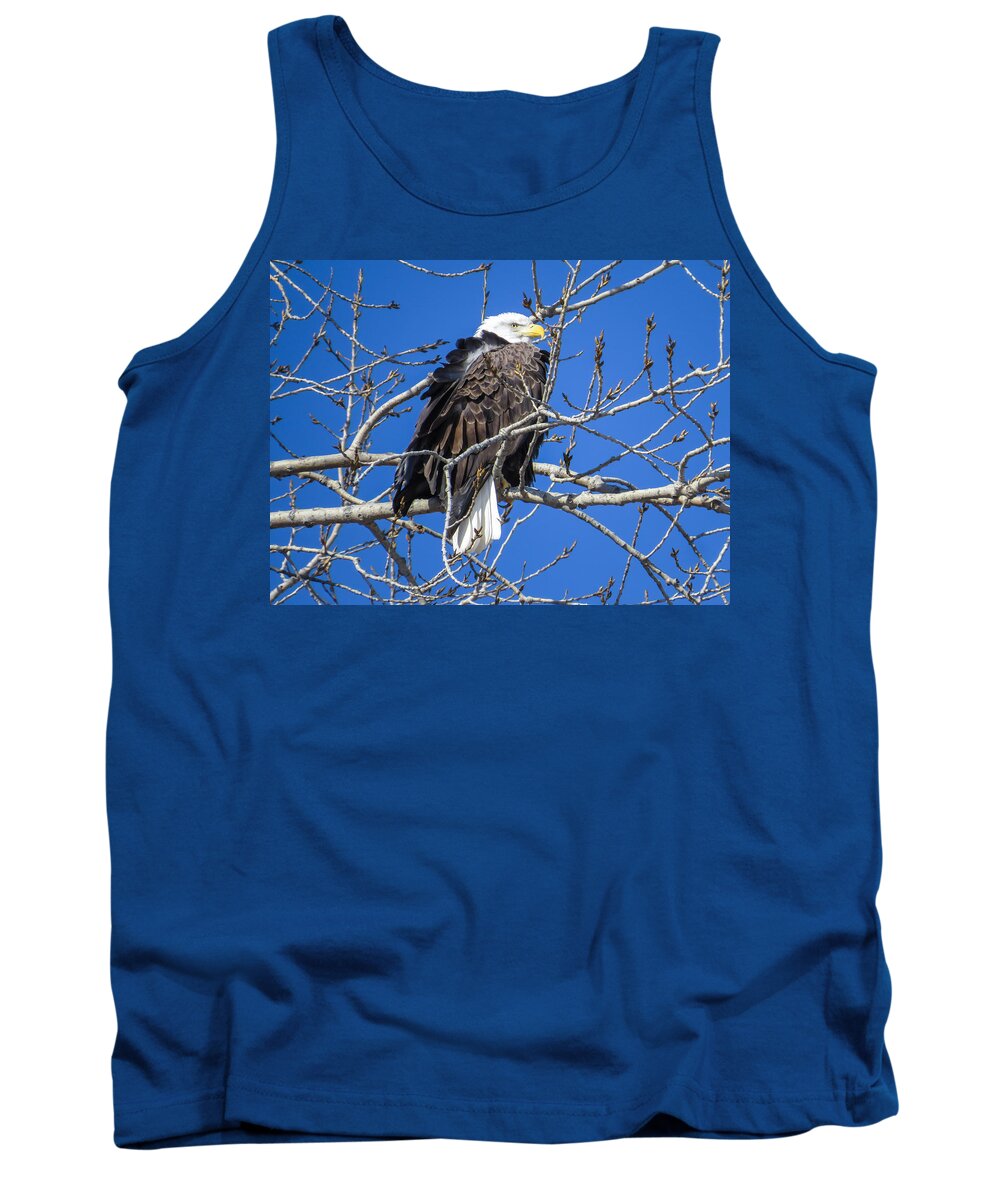 Adult Tank Top featuring the photograph Bald Eagle Over Its Shoulder by Deb Fedeler