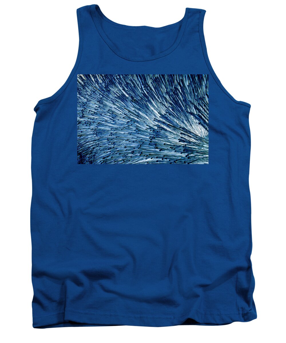 Bristles Tank Top featuring the photograph Bristly by Robert Woodward