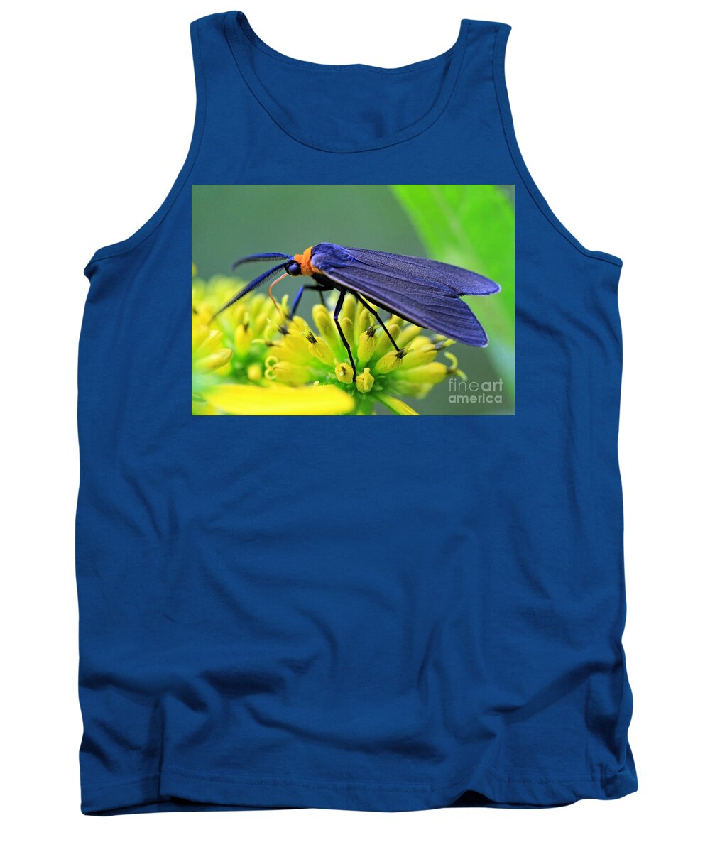 Bugs Tank Top featuring the photograph Color Me Blue by Geoff Crego