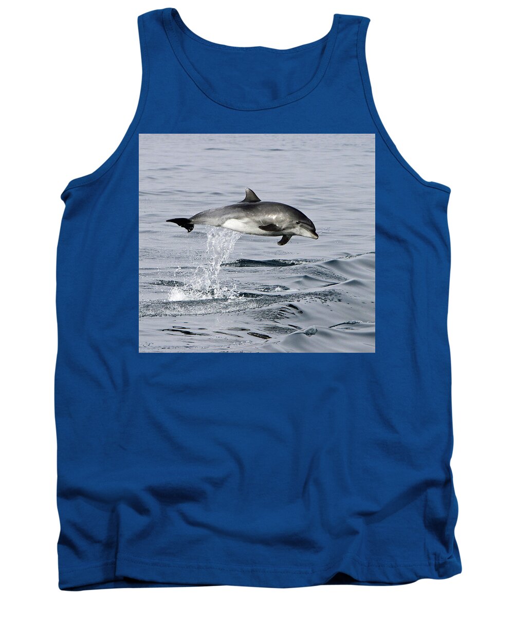 Bottlenose Dolphin Tank Top featuring the photograph Flight of the Dolphin by Shoal Hollingsworth