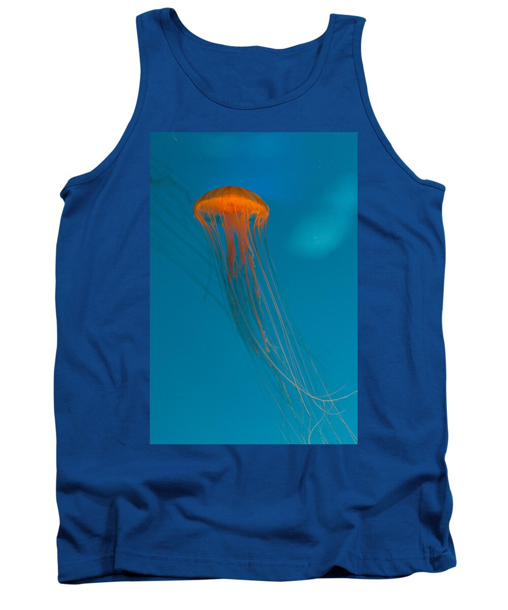 Jellyfish Tank Top featuring the photograph Glowing Orange Sea Nettle by Scott Campbell