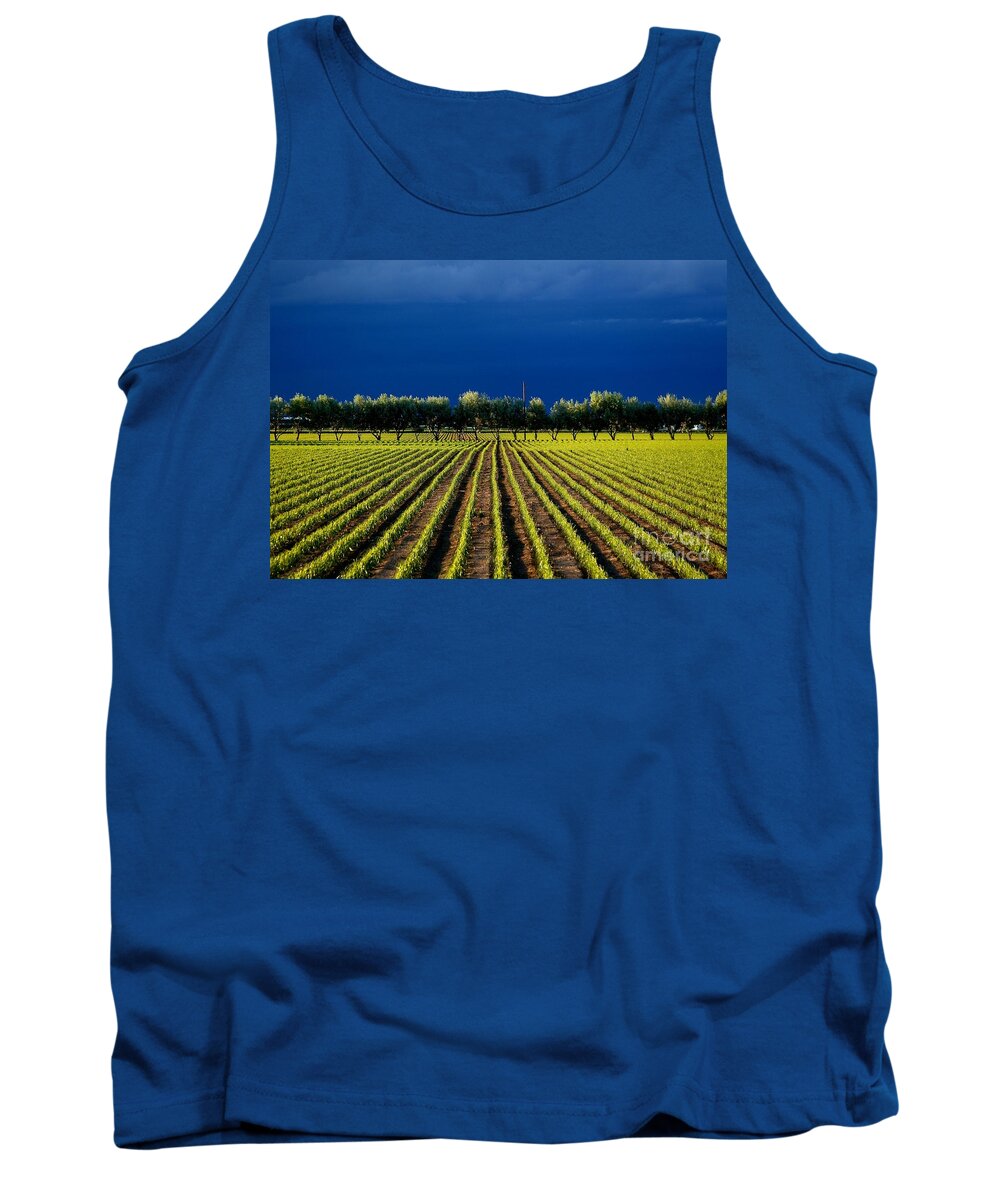 Nature Tank Top featuring the photograph Just Starting by Steven Reed