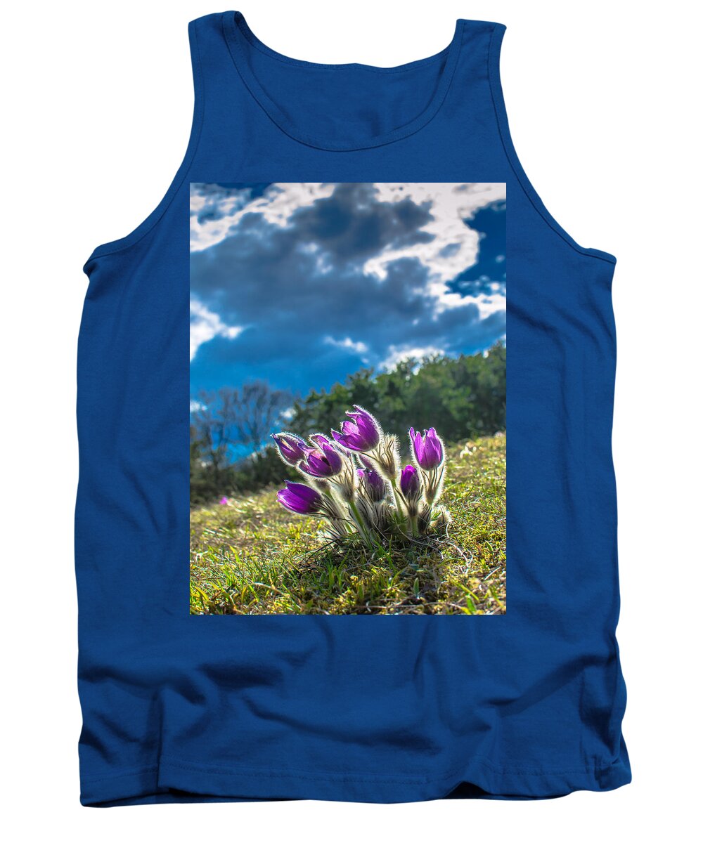 Flower Tank Top featuring the photograph Lady Of The Snows In The First Sunlight by Andreas Berthold