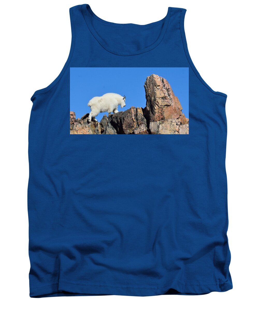 Mountain Tank Top featuring the photograph Mountain Goat by Tranquil Light Photography