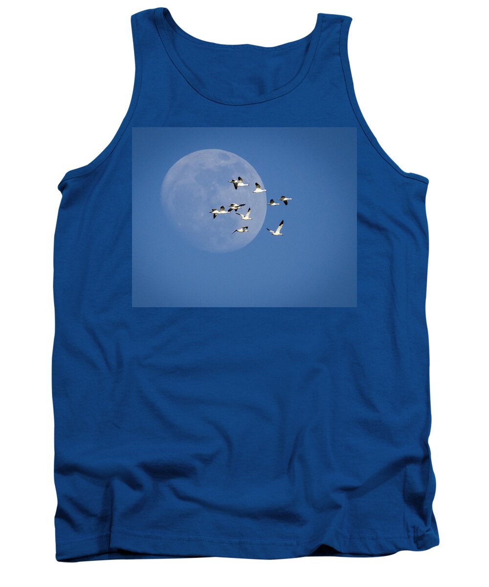 Snow Geese Tank Top featuring the photograph North Bound by Jack Bell