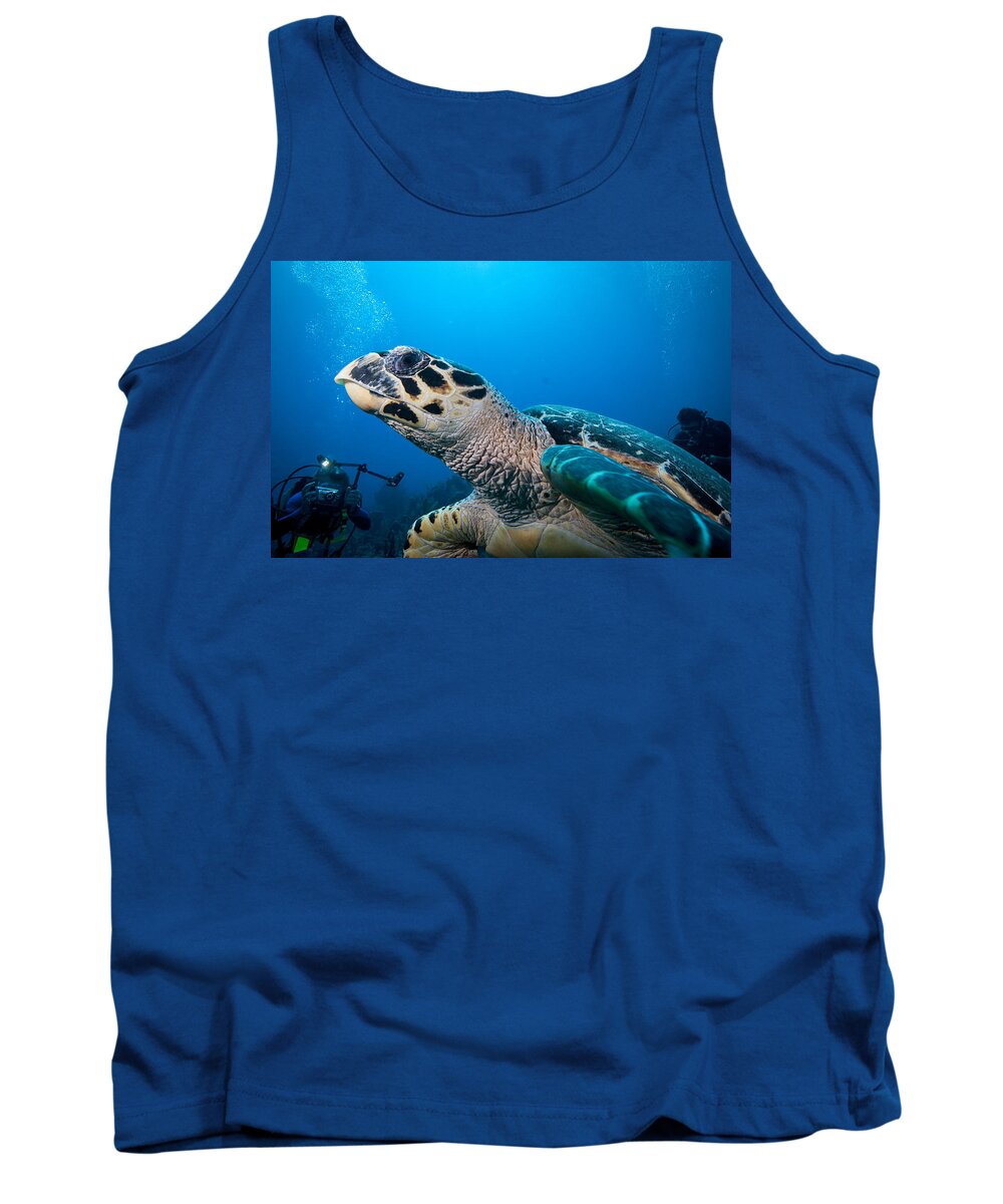 Hawksbill Turtle Tank Top featuring the photograph Oh that Paparazzi by Jean Noren