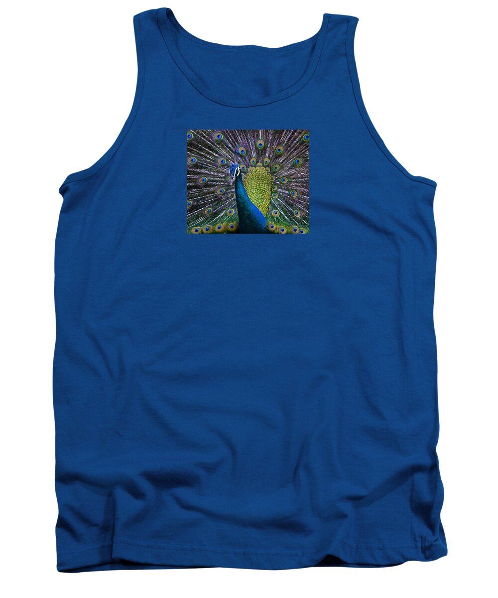 Pavo Tank Top featuring the photograph Portrait of a Peacock by Venetia Featherstone-Witty