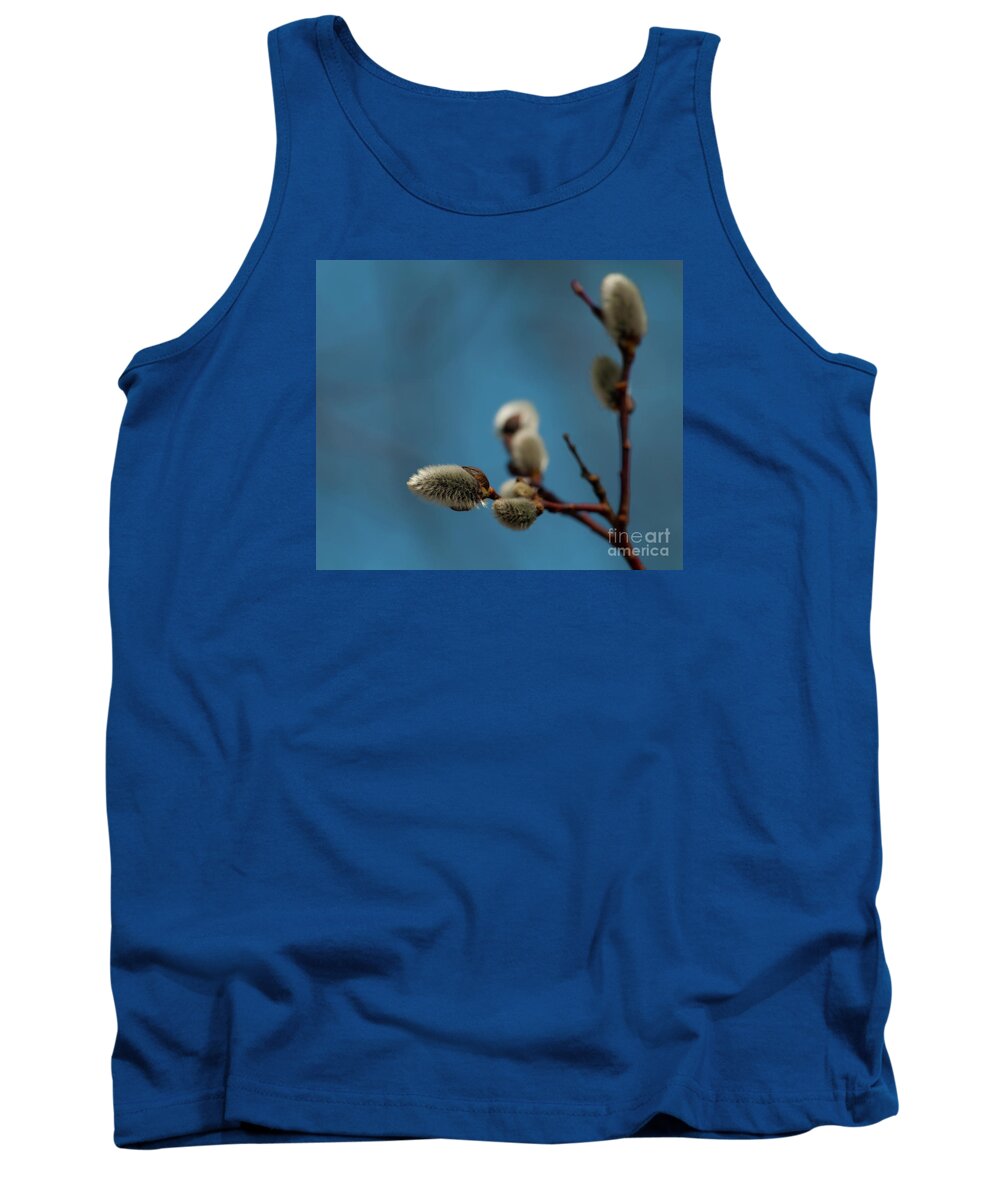 Festblues Tank Top featuring the photograph Pussy Willow... by Nina Stavlund