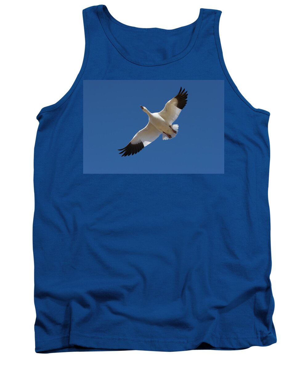 00198262 Tank Top featuring the photograph Snow Goose Flying Overhead by Konrad Wothe