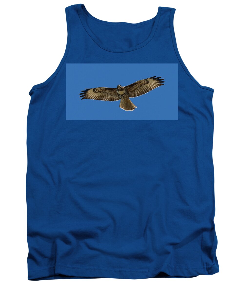 Hawk Tank Top featuring the photograph Spread Your Wings by Christy Pooschke