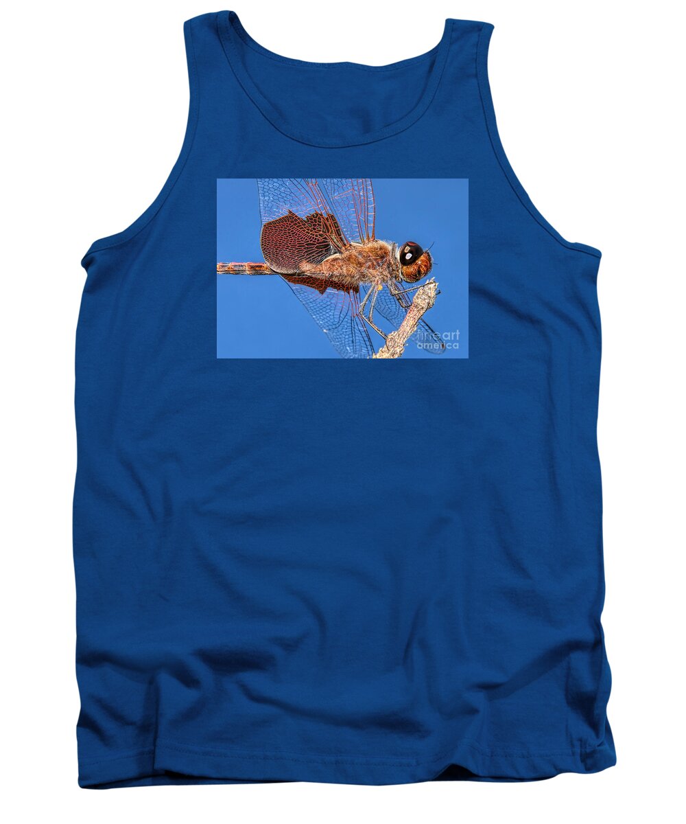 Dragonfly Tank Top featuring the photograph Tramea Carolina Dragonfly by Olga Hamilton