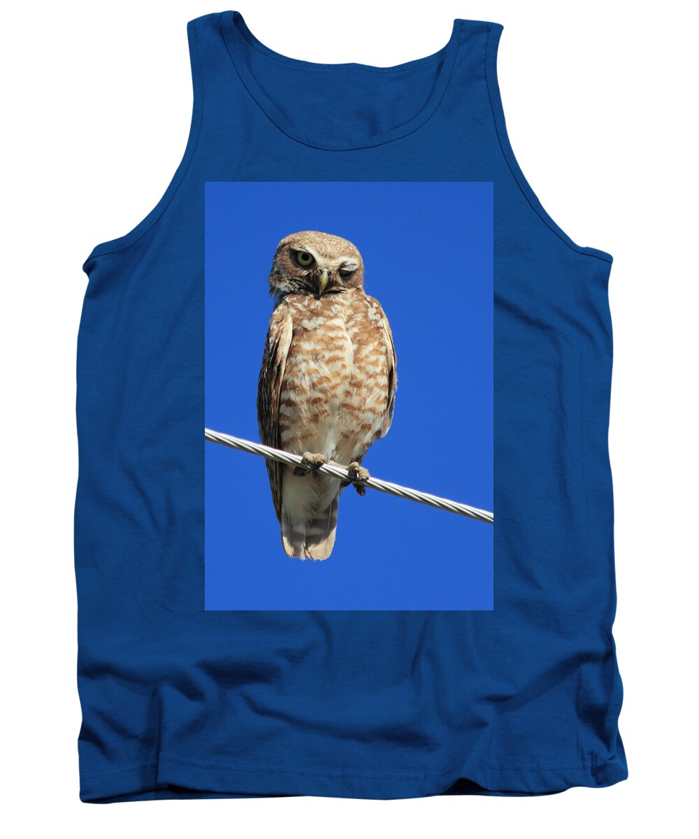 Owl Tank Top featuring the photograph Wink by Shane Bechler