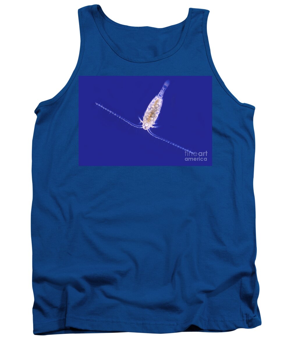 Light Microscopy Tank Top featuring the photograph Diaptomus by M. I. Walker