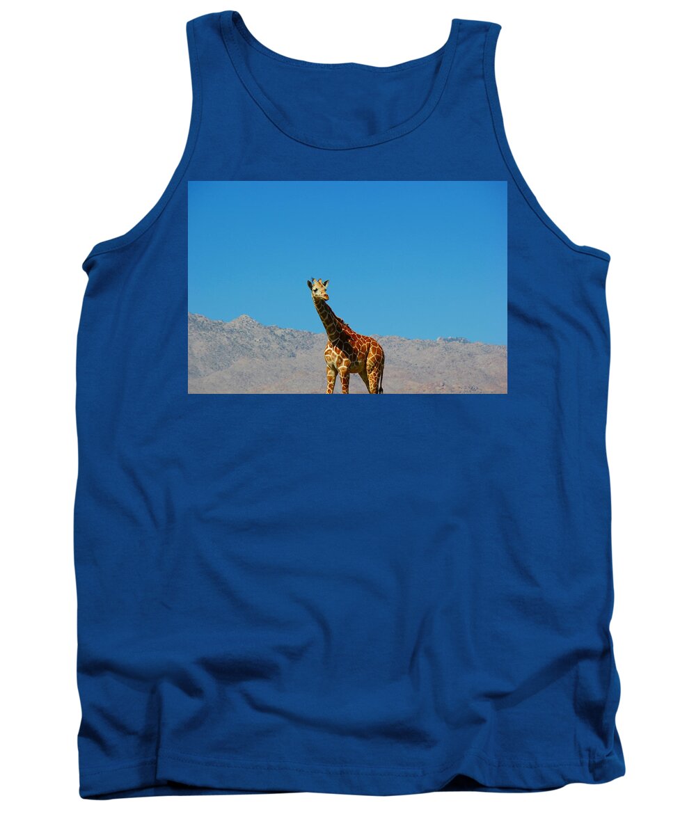 Giraffe Tank Top featuring the photograph Far from Home by Leigh Meredith