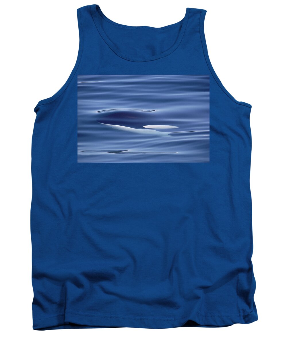 00079485 Tank Top featuring the photograph Orca Just Below Water Surface British by Flip Nicklin