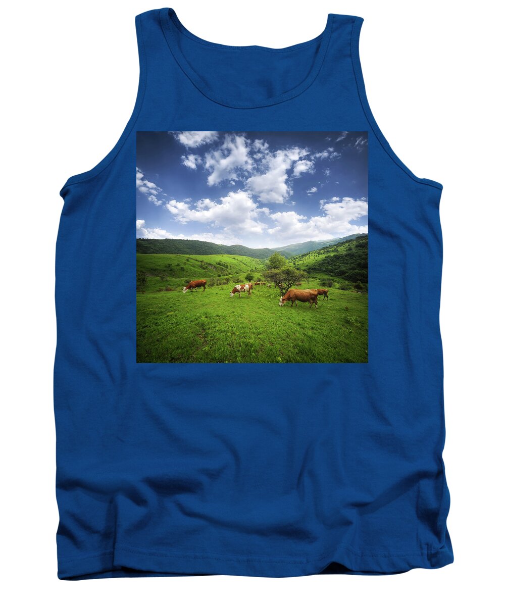Agriculture Tank Top featuring the photograph Milka #1 by Bess Hamiti
