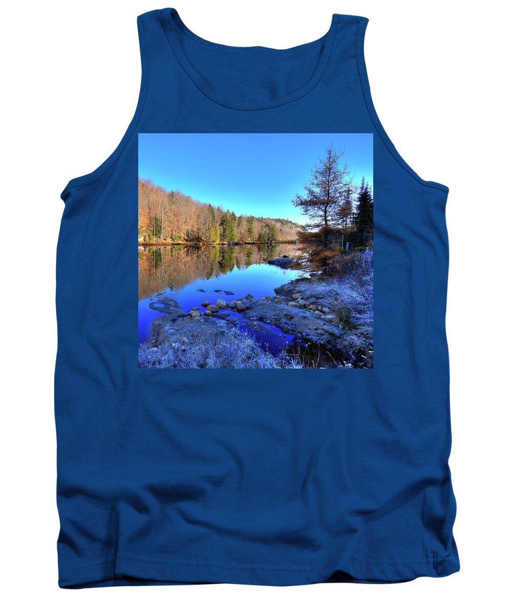 A November Morning On The Pond Tank Top featuring the photograph A November Morning on the Pond by David Patterson