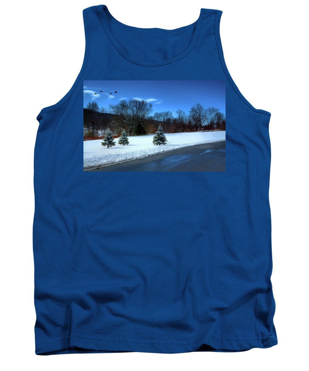 Photograph Tank Top featuring the photograph After the Snow by Reynaldo Williams