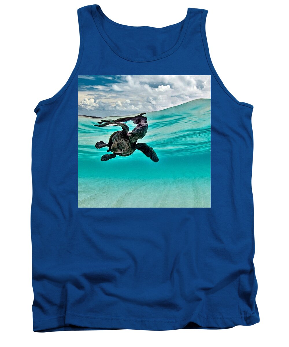 Nature Tank Top featuring the photograph Baby Hawksbill Sea Turtle by Andy Bucaille