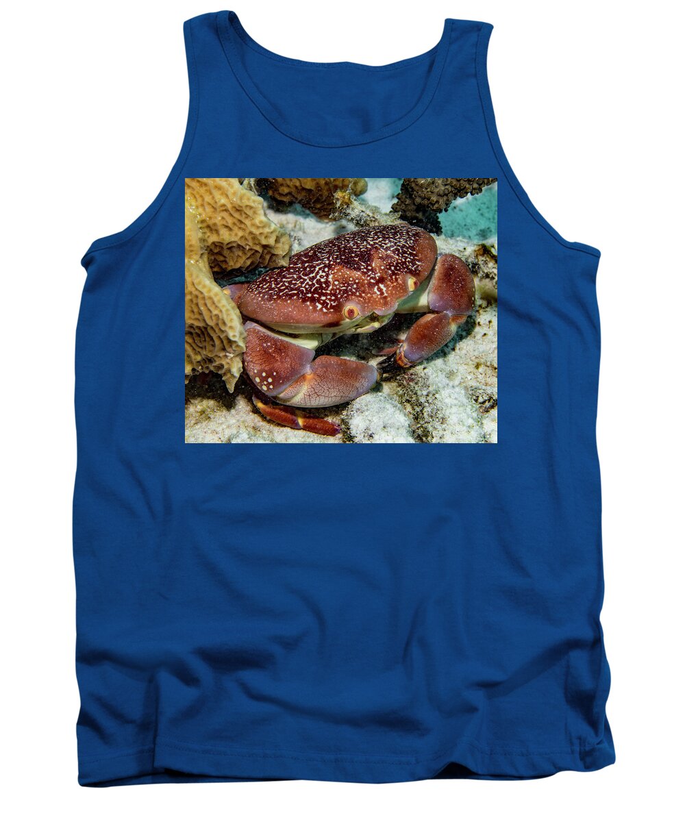 Jean Noren Tank Top featuring the photograph Batwing Coral Crab by Jean Noren