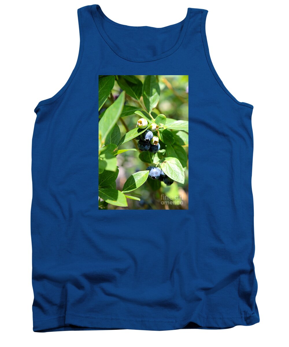 Blueberry Tank Top featuring the photograph Beautiful Blueberries with Bokeh by Carol Groenen